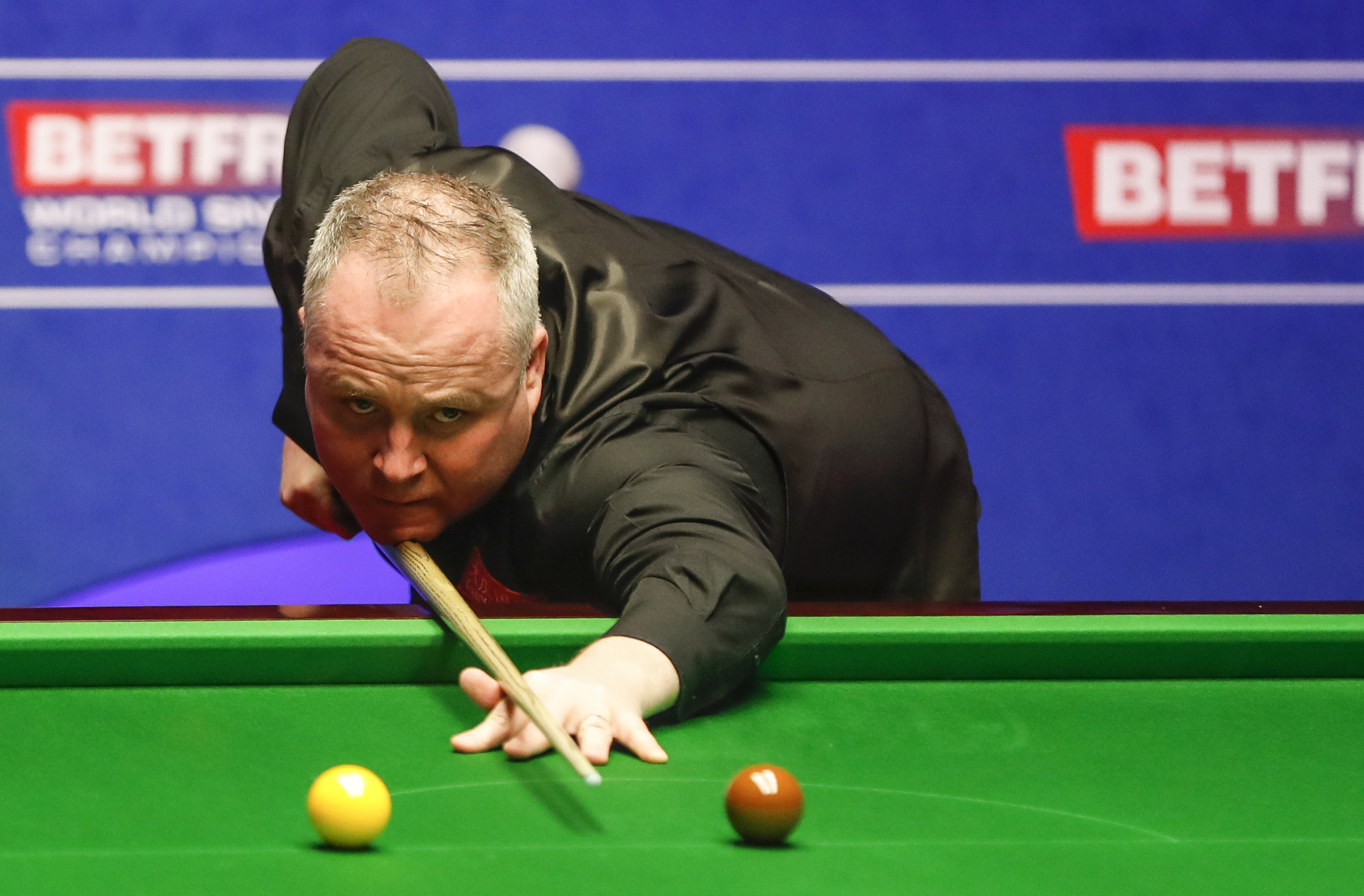 专家关注球 专家关注球