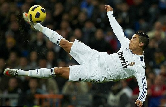 贡献了一粒 贡献了一粒