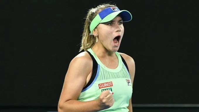 提供可执行 提供可执行